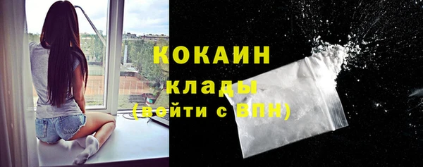 дмт Каменногорск