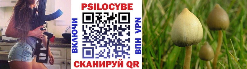 Псилоцибиновые грибы GOLDEN TEACHER  Александров 